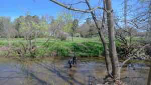 UNCG researchers in a creek.